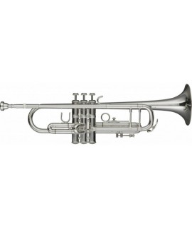 Stagg LV-TR6301 trombita