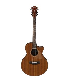 Ibanez AE295-LGS elektroakusztikus gitár