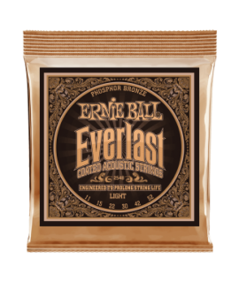 Ernie Ball 2548 Everlast Coated P. Bronze 11-52 Light