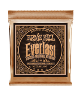 Ernie Ball 2546 Everlast Coated P. Bronze 12-54 Medium Light