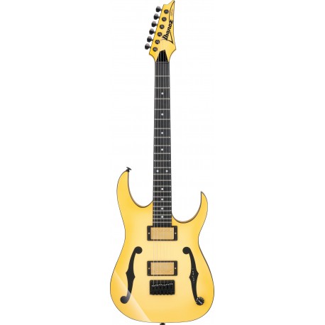 Ibanez PGM1000T Paul GIlbert signature elektromos gitár