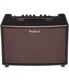 Roland AC-60RW Akusztikus kombó